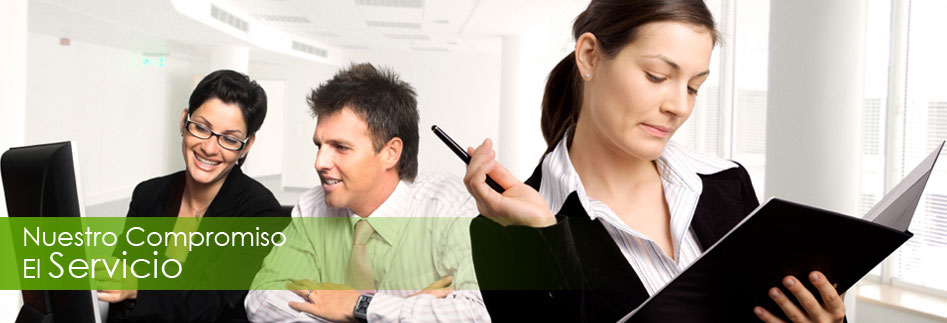 La Mejor Opción En Traducción